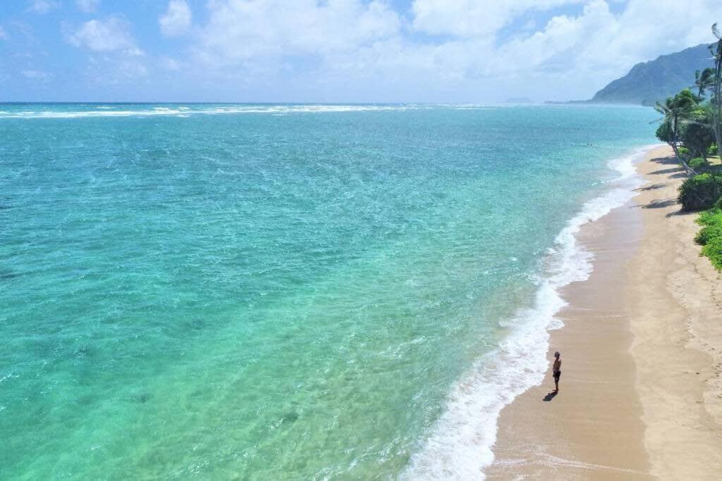 Luxury Beachfront Condo Hau'ula Dış mekan fotoğraf