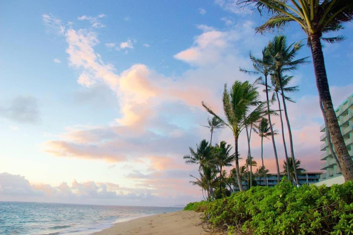 Luxury Beachfront Condo Hau'ula Dış mekan fotoğraf