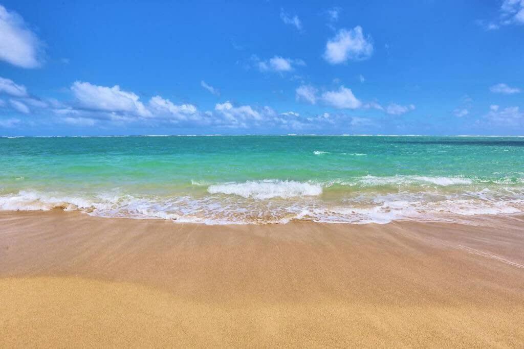 Luxury Beachfront Condo Hau'ula Dış mekan fotoğraf