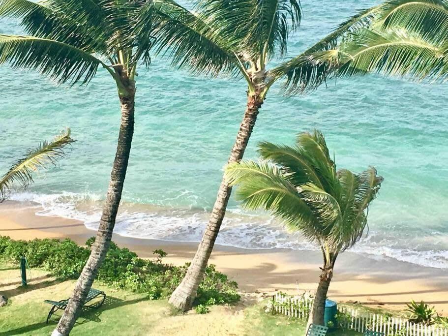 Luxury Beachfront Condo Hau'ula Dış mekan fotoğraf