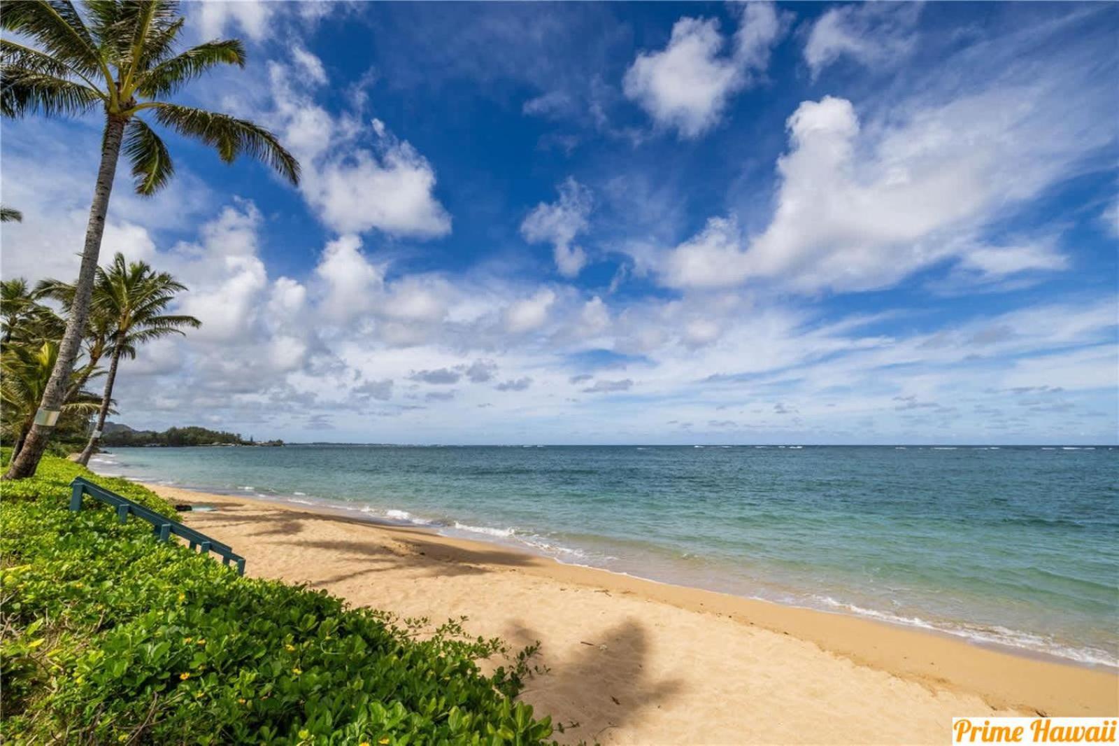 Luxury Beachfront Condo Hau'ula Dış mekan fotoğraf